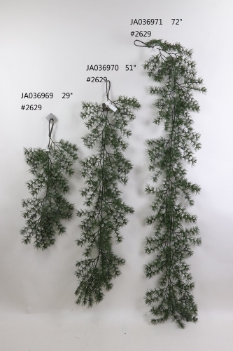 2021XAMS-JA0317
