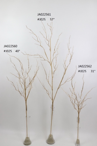 2021XAMS-JA0217