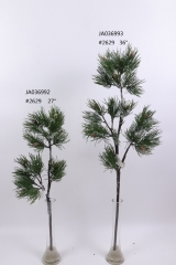 2021XAMS-JA0311<br />
Col: