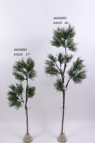 2021XAMS-JA0311