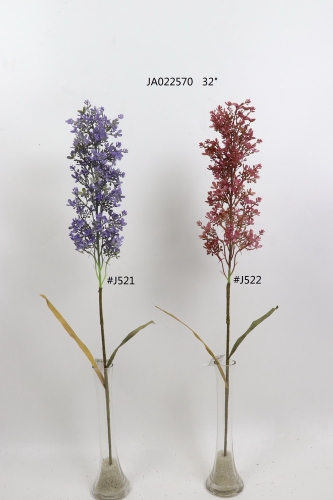 2021XAMS-JA0231