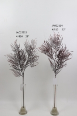 2021XAMS-JA0218<br />
Col: