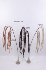 2021XAMS-JA0309<br />
Col: