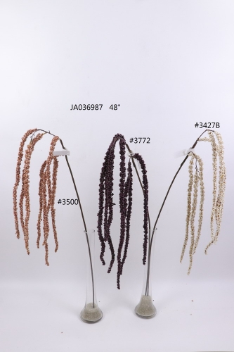 2021XAMS-JA0309