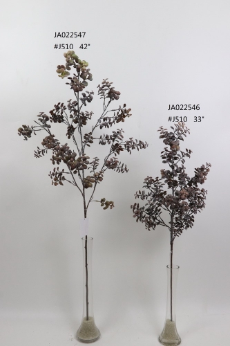 2021XAMS-JA0225
