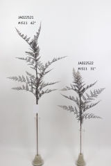 2021XAMS-JA0209<br />
Col: