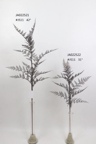 2021XAMS-JA0209