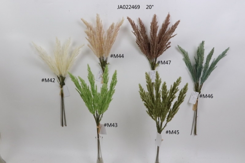 2021XAMS-JA0228