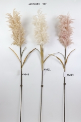 2021XAMS-JA0234<br />
Col: