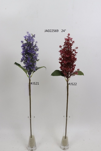 2021XAMS-JA0229