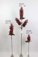 2021XAMS-JA0230<br />
Col: