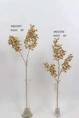 2021XAMS-JA0215<br />
Col: