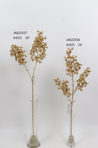 2021XAMS-JA0215