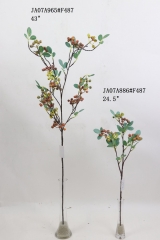 2021XAMS-JA0711<br />
Col: