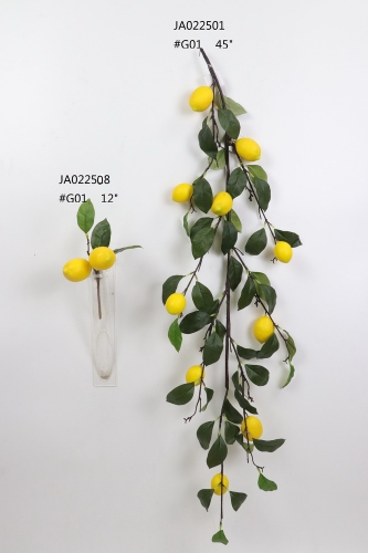 2021XAMS-JA0205