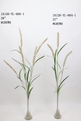 2021XAMS-JA126-07<br />
Col: