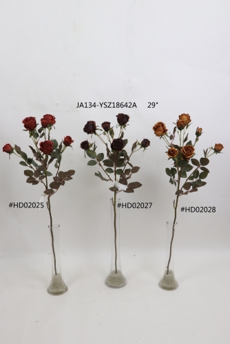 2021XAMS-JA134-18