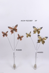 2021XAMS-JA134-03<br />
Col: #