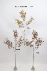 2021XAMS-JA134-13<br />
Col: #