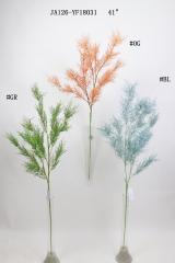 2021XAMS-JA126-21<br />
Col: