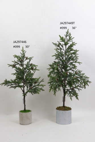 2021XAMS-JA29-55