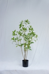 JA140-PC192-90A<br />
Col: #