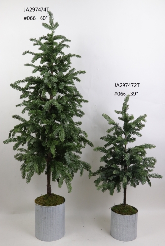 2021XAMS-JA29-46