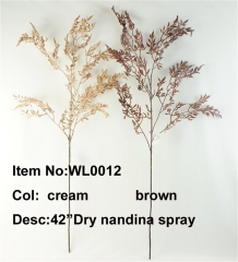 2021XAMS-JA149-WL0012  42<br />
Col: #