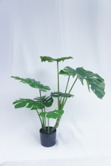 JA140-PC061-75A<br />
Col: #