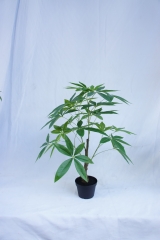JA140-PC185-70A<br />
Col: #