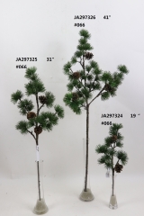 2021XAMS-JA29-75<br />
Col: #