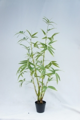 JA140-PC190-120A<br />
Col: #