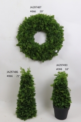 2021XAMS-JA29-51<br />
Col: #