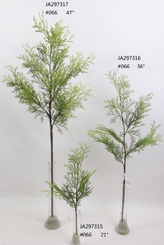 2021XAMS-JA29-66