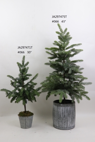 2021XAMS-JA29-47