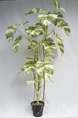 JA140-PC061-240C-B<br />
Col: #