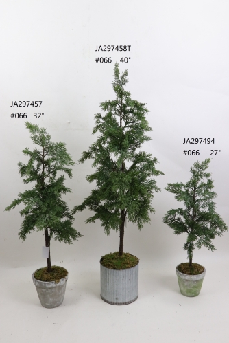 2021XAMS-JA29-45