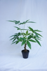 JA140-PC185-55A<br />
Col: #