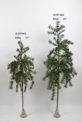 2021XAMS-JA29-62