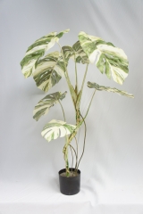 JA140-PC061-120F-B<br />
Col: #