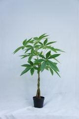 JA140-PC185-70B<br />
Col: #