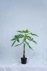 JA140-PC185-60C<br />
Col: #