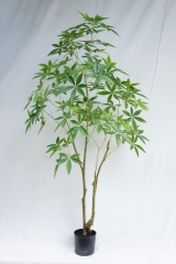 JA140-PC185-210C<br />
Col: #