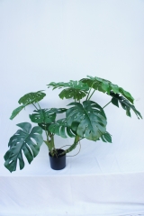 JA140-PC061-90A<br />
Col: #