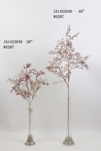 2021XAMS-JA1430