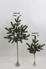 2021XAMS-JA29-99<br />
Col: