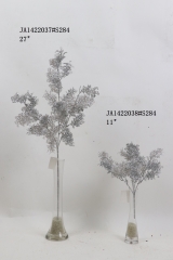 2021XAMS-JA1433<br />
Col: