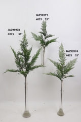 2021XAMS-JA29-95<br />
Col: