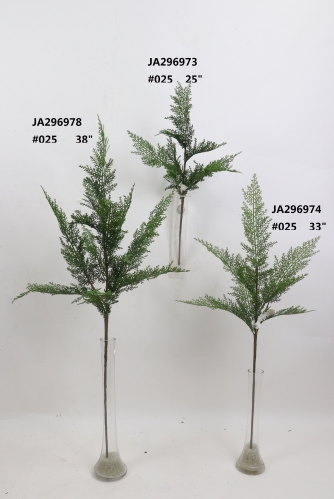 2021XAMS-JA29-95