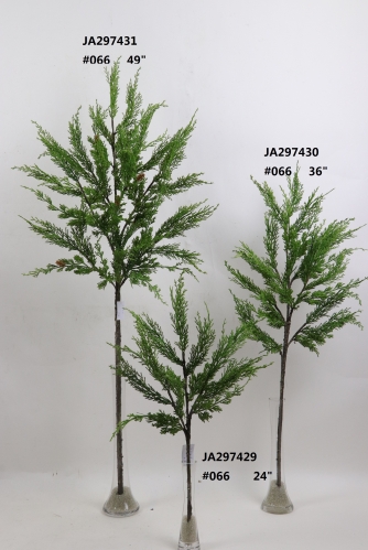 2021XAMS-JA29-104